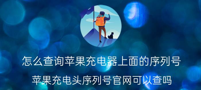 怎么查询苹果充电器上面的序列号 苹果充电头序列号官网可以查吗？